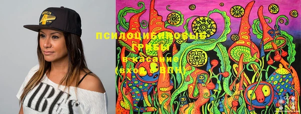 бутират Алзамай