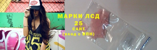 ГАЛЛЮЦИНОГЕННЫЕ ГРИБЫ Алексин