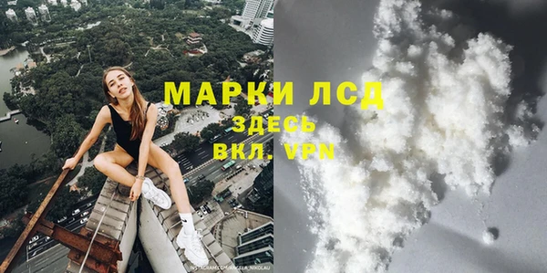 ГАЛЛЮЦИНОГЕННЫЕ ГРИБЫ Алексин